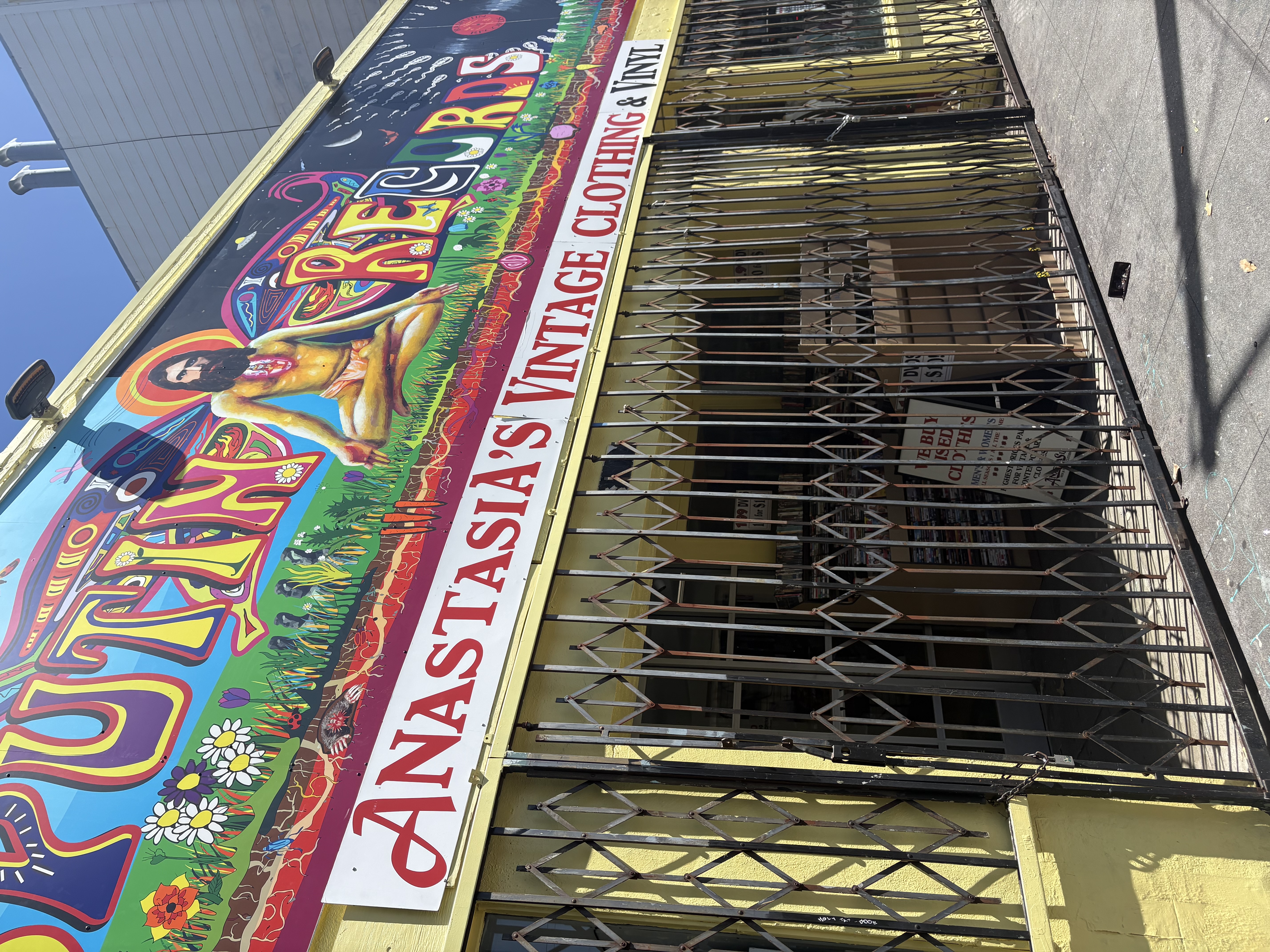 Anastasia's Vintage Clothing & Vinyl storefront